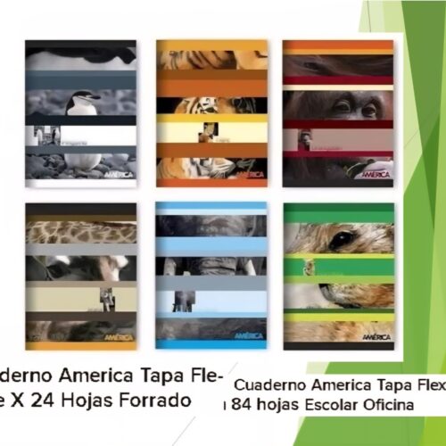CUADERNO TAPA FLEXIBLE X 24 RAYADO