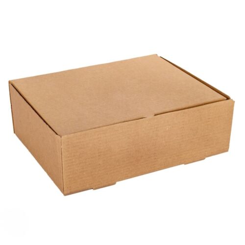 CAJA DE EMPANADAS MICROC REFORZADAS X12 22X28X6 CM X 100 U (10)