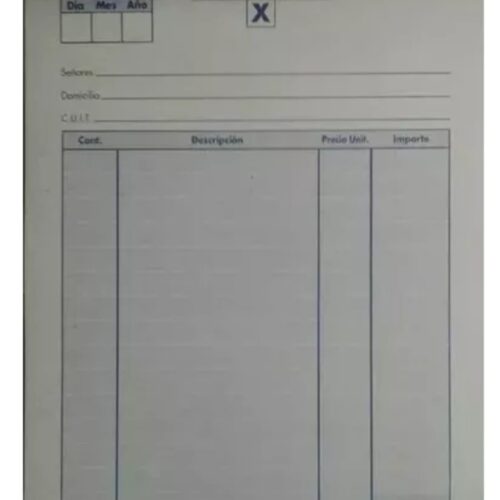 TALONARIO PAGARE COMUN GRANDE